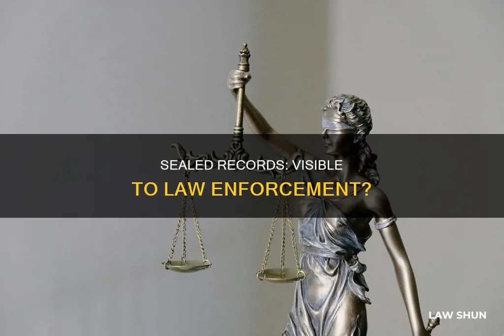 can law enforcement see sealed records