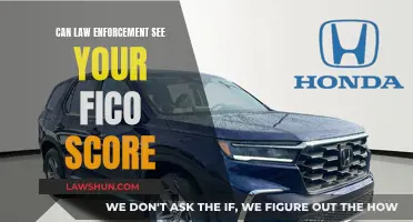 Law Enforcement and FICO Scores: What's Visible?