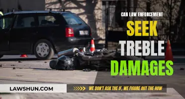 Law Enforcement and Treble Damages: What's the Deal?