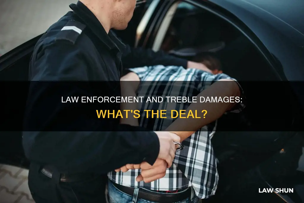 can law enforcement seek treble damages