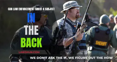 Should Law Enforcement Shoot to Kill?