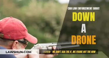 Drone Shootdown: Can Law Enforcement Take Action?