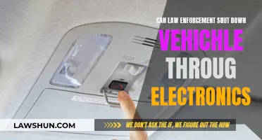 Law Enforcement's Power to Electronically Immobilize Vehicles