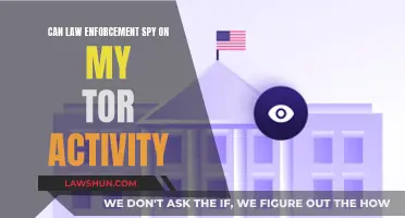 Tor Activity: Can Law Enforcement Spy on You?