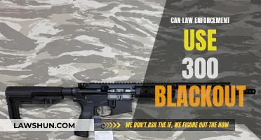Utilizing 300 Blackout: Law Enforcement's Ammunition Options