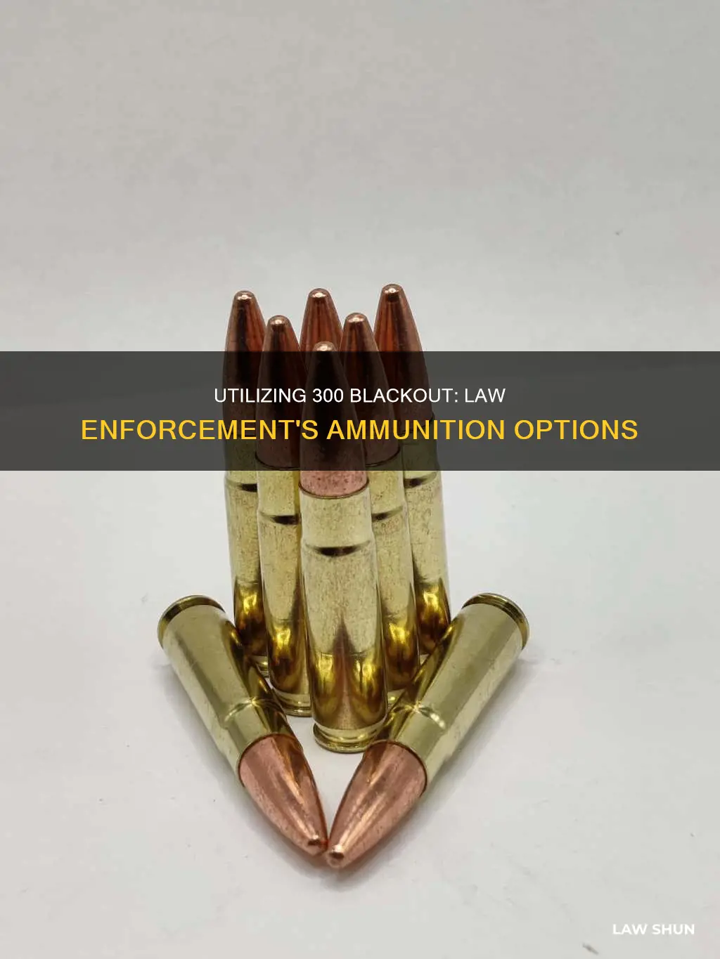 can law enforcement use 300 blackout