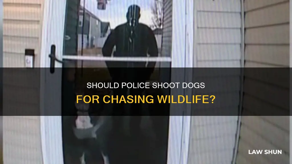 can law enforcwment officers shootndogs for chasing wildlofe