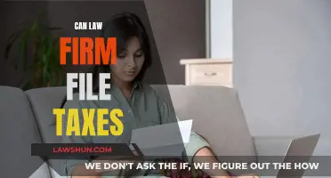 Law Firms and Taxes: Who Can File?