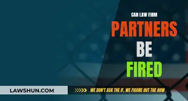 Law Firm Partners: Can They Be Fired?