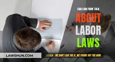 Labor Laws: What Your Law Firm Should Discuss