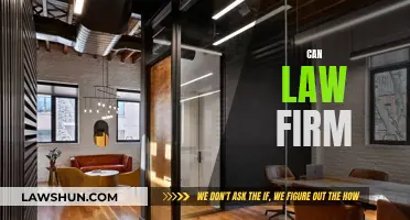 Law Firm Strategies: Can They Innovate?