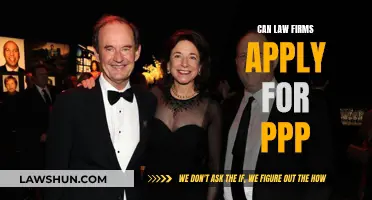 Law Firms and PPP: Who's Eligible and How to Apply?