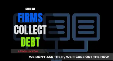 Law Firms: Debt Collection and Legal Action