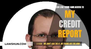 Law Firms and Credit Reports: Who Has Access?