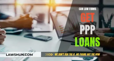 Law Firms and PPP Loans: Eligibility and Access