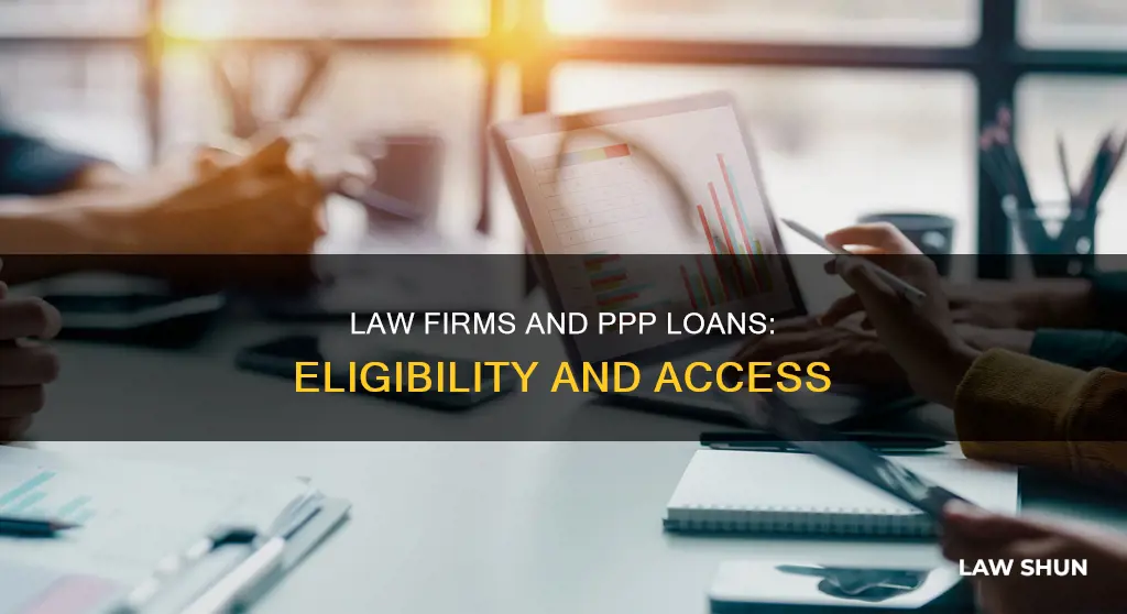can law firms get ppp loans
