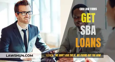 Law Firms and SBA Loans: Eligibility and Access
