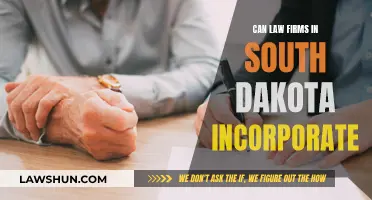 South Dakota Law Firms: Incorporation Specialists