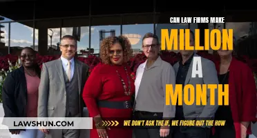 Law Firms: Millionaires in the Making?