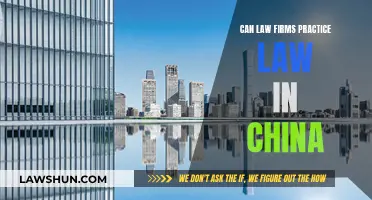Law Firms in China: Practicing Law and Challenges