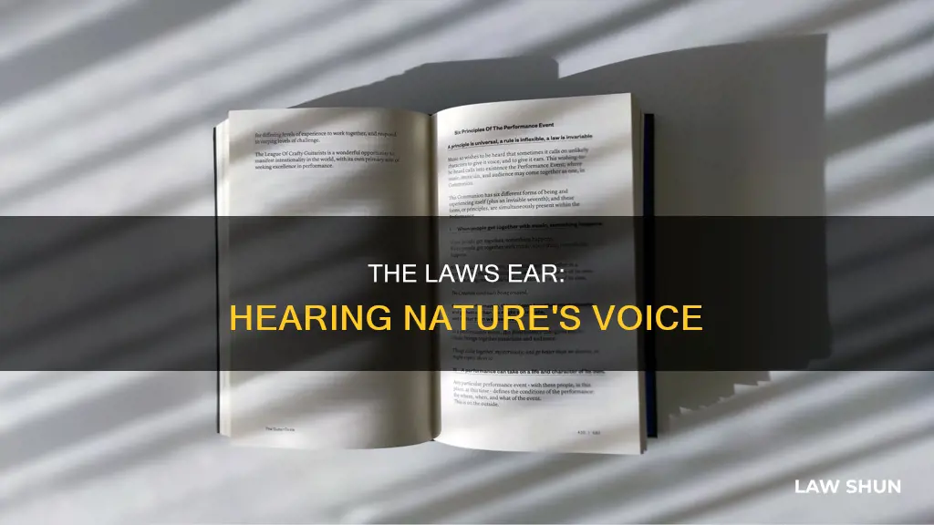can law hear the voice of all things