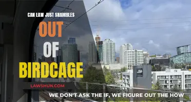 Unlocking Law: Birdcage to Freedom