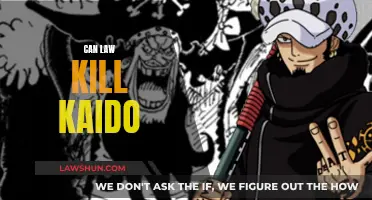 Law's Power: Can He Defeat Kaido?