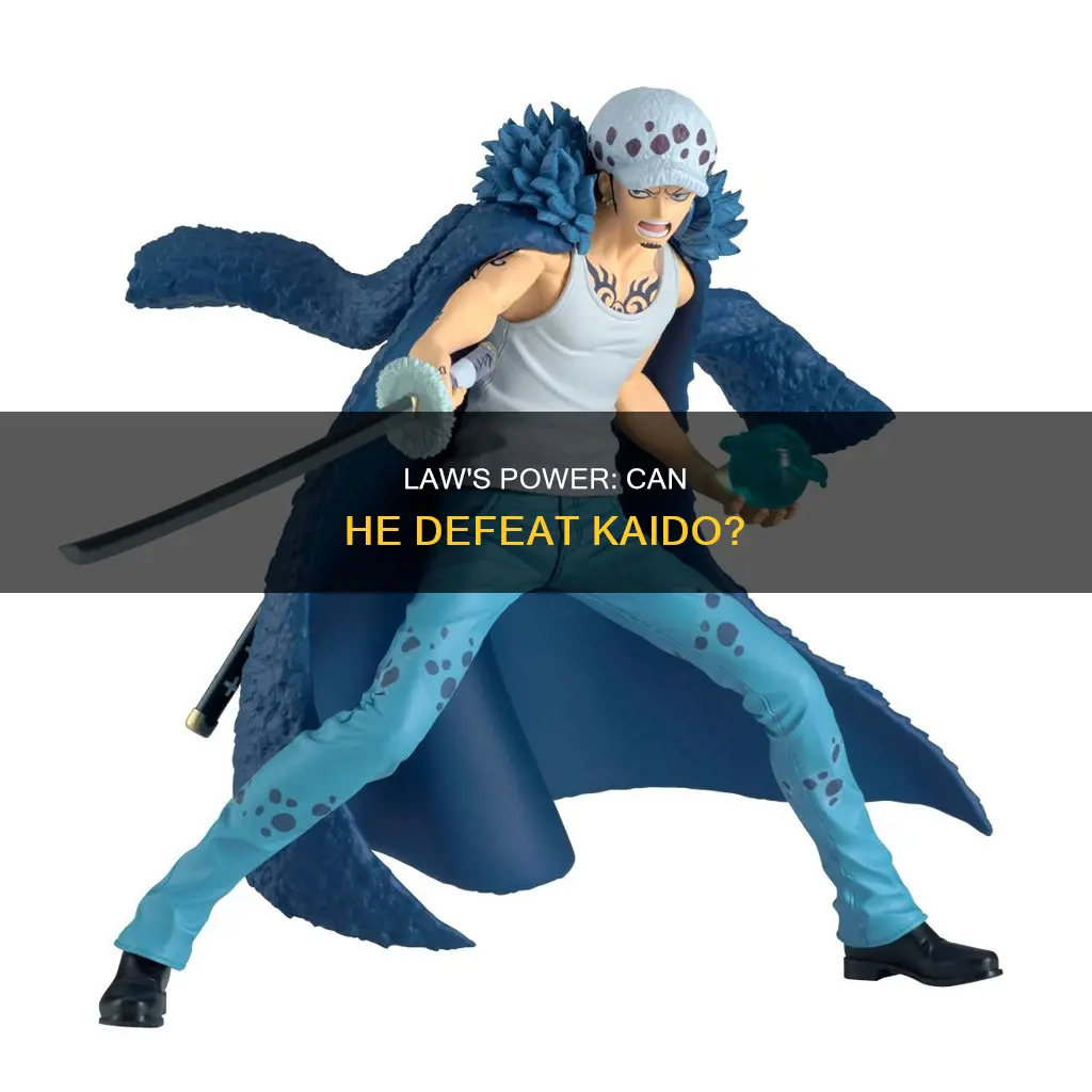 can law kill kaido