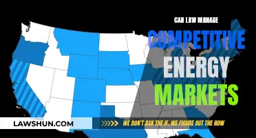 Energy Markets: Can Law Keep Competition Fair?