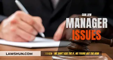 Lawyers: Managing Issues, Not Just Cases