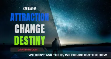 Manifesting Destiny: Law of Attraction's Power