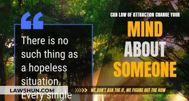 Manifesting Mindset: Can Law of Attraction Change Your Opinion?