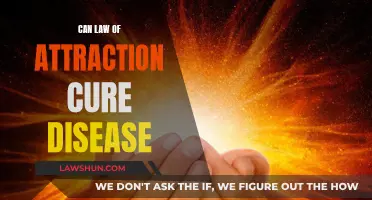 Attracting Good Health: Can the Law of Attraction Cure Diseases?