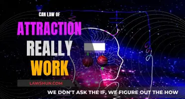 Manifesting Destiny: Does the Law of Attraction Really Work?