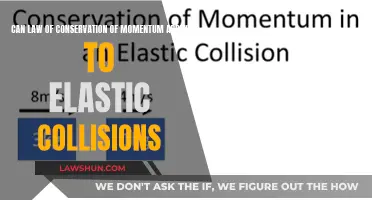 Momentum Conservation in Elastic Collisions: A Universal Law?