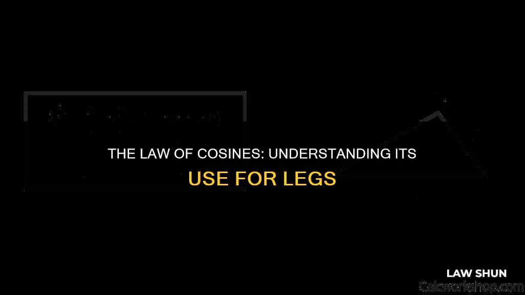 can law of cosines be used for legs