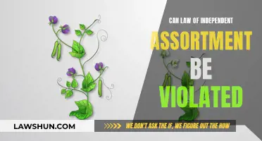 Independent Assortment: Violation and its Exceptions Explained