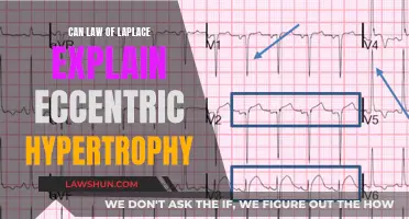 Laplace's Law: Understanding Eccentric Heart Growth