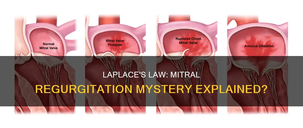 can law of laplace explain mitral regurgitation