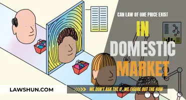 One Price Law: Domestic Market Exception?