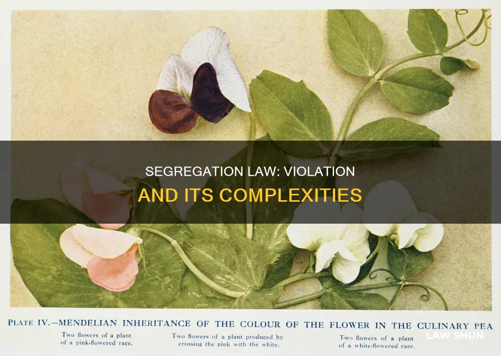 can law of segregation be violated
