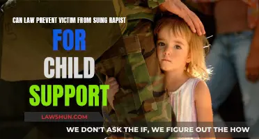 Suing Rapists: Child Support and Legal Complications