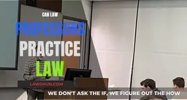 Law Professors: Can They Practice?