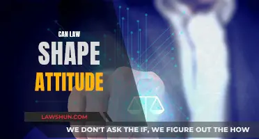 Law's Power: Shaping Attitudes and Minds