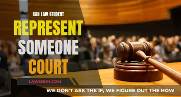 Law Students: Court Representation and Legal Ethics