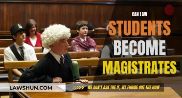 Law Student Career Options: Magistrate Pathway Explored