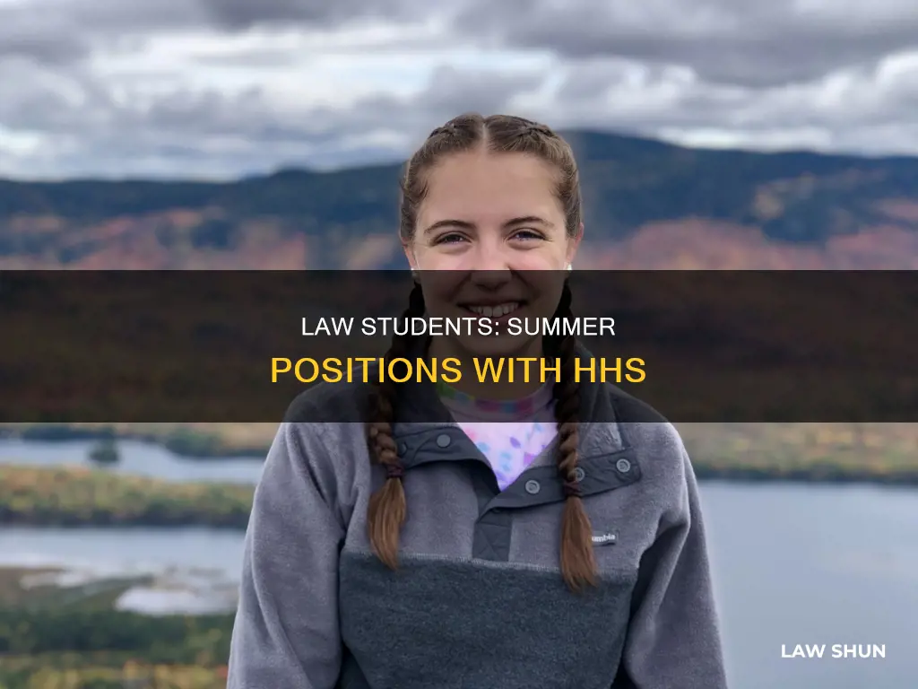 can law students get summer positions with hhs