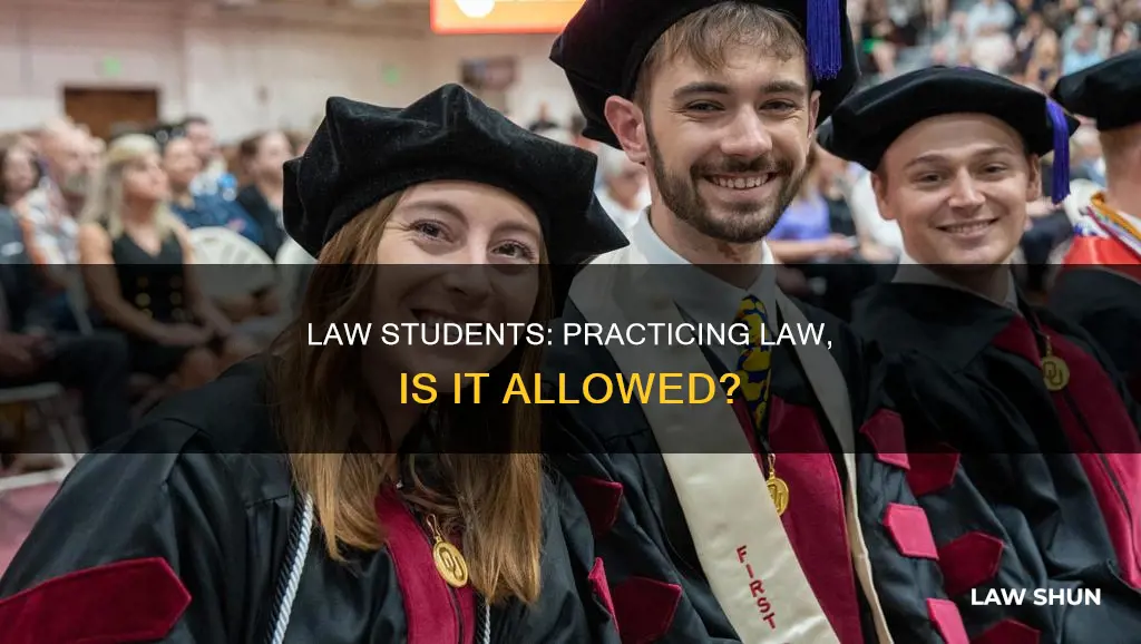 can law students practice law