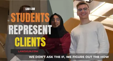 Law Students: Representing Clients, Ethical or Not?