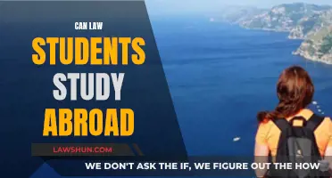 Law Students: Exploring Global Education Opportunities
